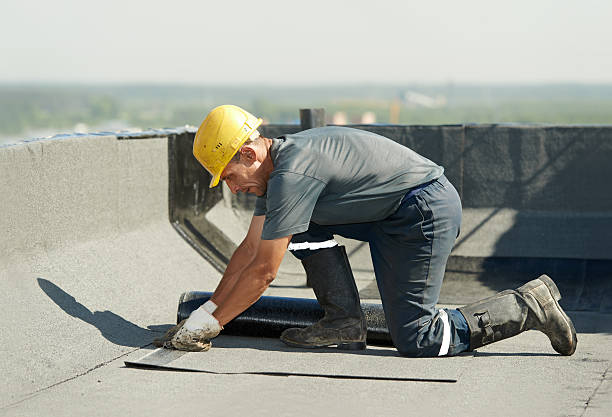 Best Insulation Installation Services in Tladega, AL